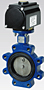 Keystone Butterfly Valve